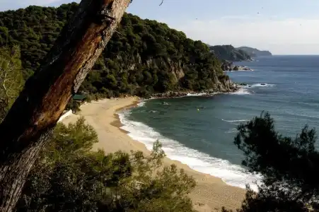 Apartaments Lloret Sun - 12