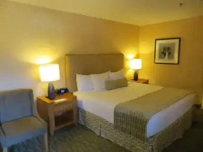 Best Western Plus Las Brisas - 32