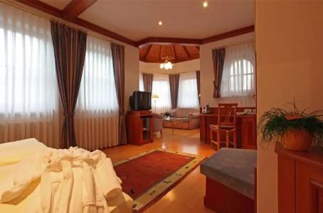 Hotel-Restaurant Adler - 19