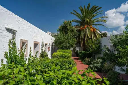 Le Hammamet & Spa - 0