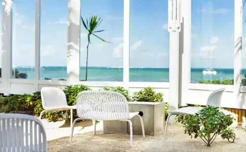 Tropical Attitude - Adults only - 6