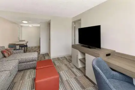 Hampton Inn Atlanta-Georgia Tech-Downtown - 63