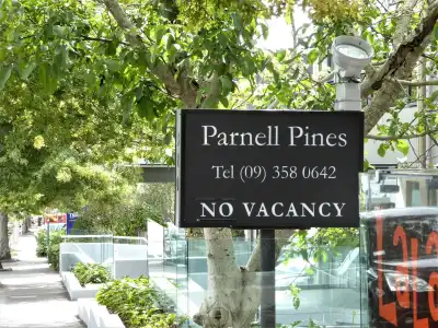 Parnell Pines - 11