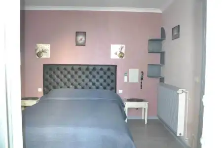 Hôtel Le Dauphin Bleu - 69