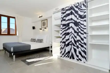 Zebra - 0