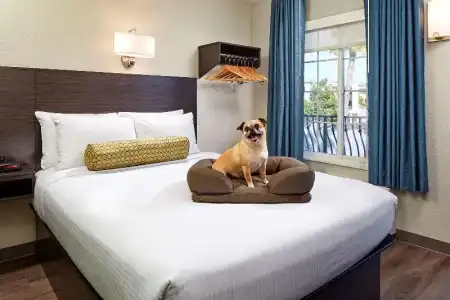 SureStay by Best Western San Diego Pacific Beach - 21