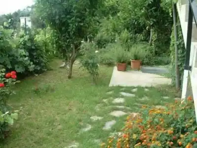 Giardino dei Limoni - 3