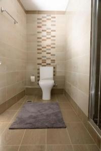 Theasis Athens - 66