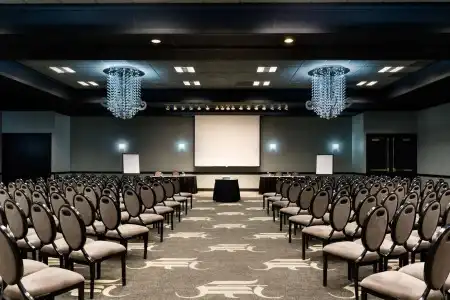 Holiday Inn Select North Dallas - 25