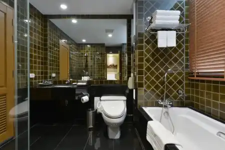 Grande Centre Point Ploenchit - 23