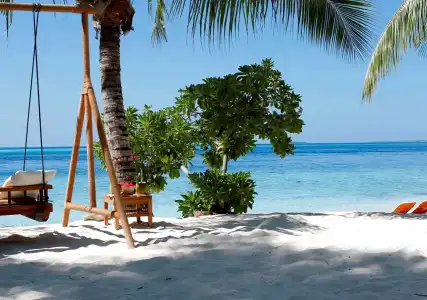 Nika Island Resort & Spa - 21