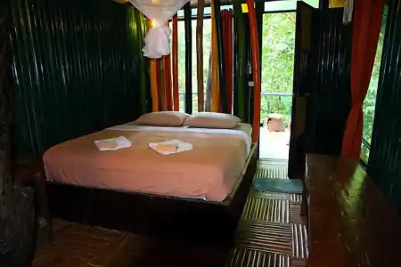Khao Sok Tree House - 57