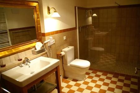 Spa Resort Landlust Dresden - 135