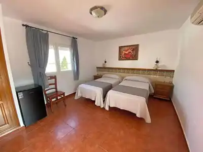 Simón - 31