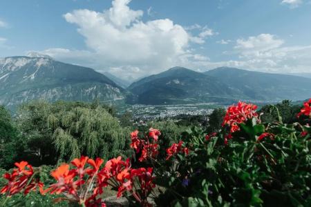 Panorama - 21