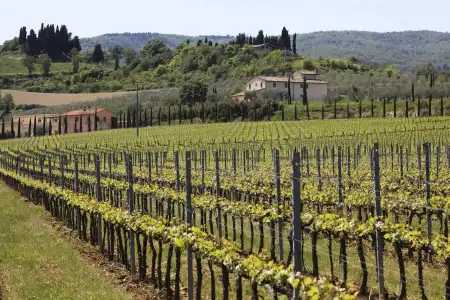 Le Buche Wine Resort & Spa - 16