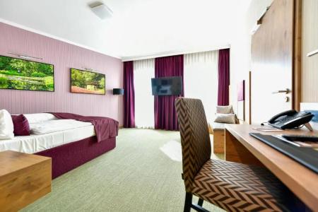 Best Western Plus Park& Spa Cottbus - 62