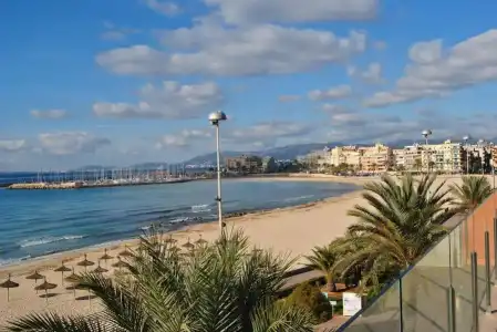 Apartamentos Delfín - 19