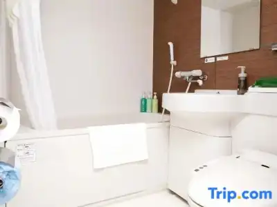 Route Inn Yatsushiro - 72
