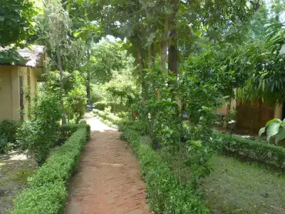 Nature Safari Resort - 9