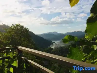 Kandy Victoria Eco Resort - 221