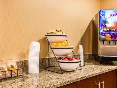 Comfort Inn Anaheim Resort - 13