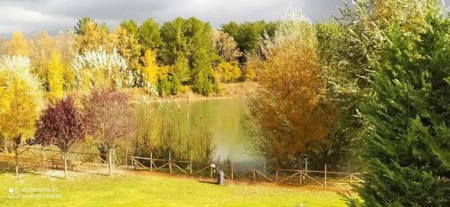 Cameracaffè sul Lago - 24