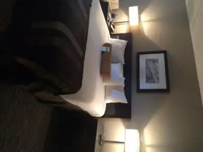Hampton Inn by Hilton Los Angeles Airport - 63