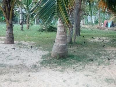 Beach Lagoon Guesthouse - 38