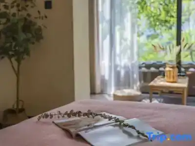 Womei - 44