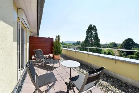 Hirschen in Freiburg-Lehen - 41