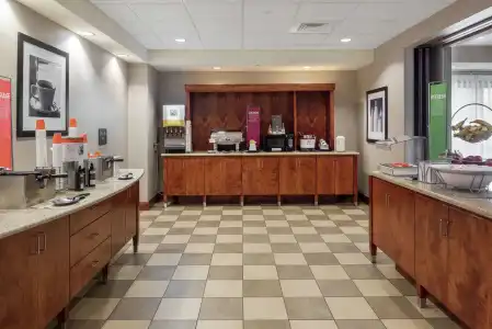 Hampton Inn Branson - Branson Hills - 28