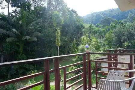 Khao Sok Nature Place - 45