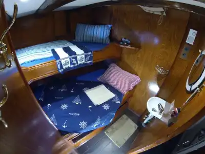 MS Cutty Jean - 15
