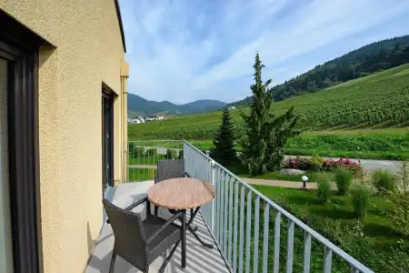 Rebenhof - 43