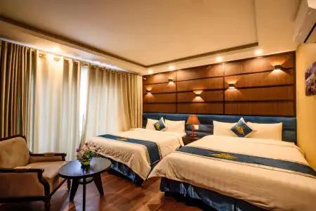 Sapa Mimosa - 2