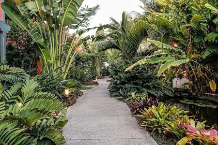 Hacienda de Abajo - Adults Only - 83