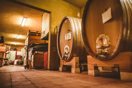 Fattoria di Corsignano - 21
