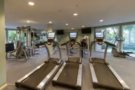 Grand Pacific Palisades - 27
