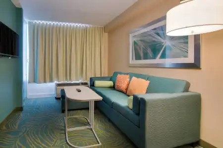 SpringHill Suites by Marriott Orlando Lake Buena Vista South - 44