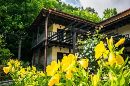Guest House Verbena - 10