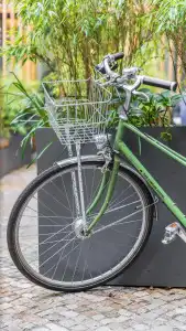 The Circus Hostel - 11