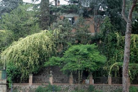 Villino Corbelli - 12