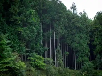 Kominka Yado LOOF Sakanoie - 23