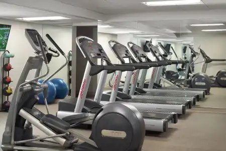 Courtyard by Marriott Miami Coconut Grove - 22