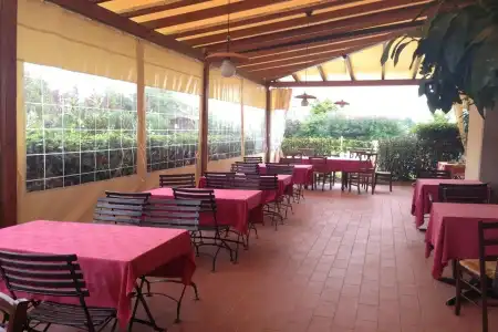 Airone Pisa Ristorante - 17