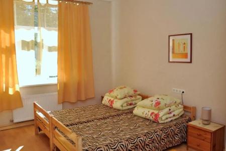 Happy Hostel - 37