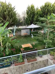 Lupa Alacati - 25