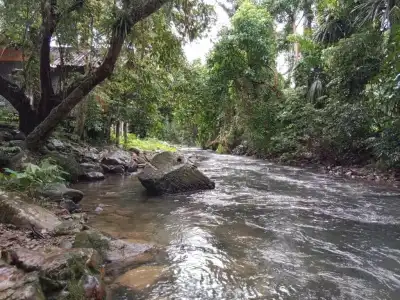 Tree Top River Huts - 58