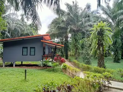 Khao Sok Palm Garden Resort - 33